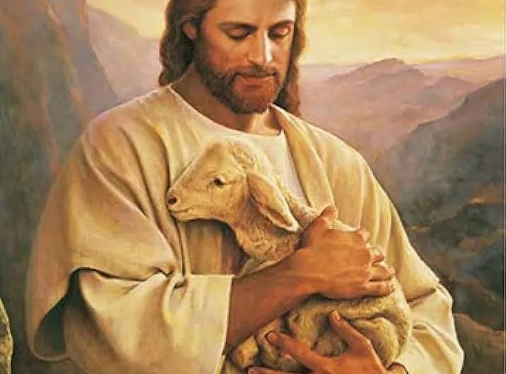 A Good Shepherd Is The One Who Listens, Seek Counsel, Prays And Takes Good Care Of The Sheep BY PETER OBELE ABUE