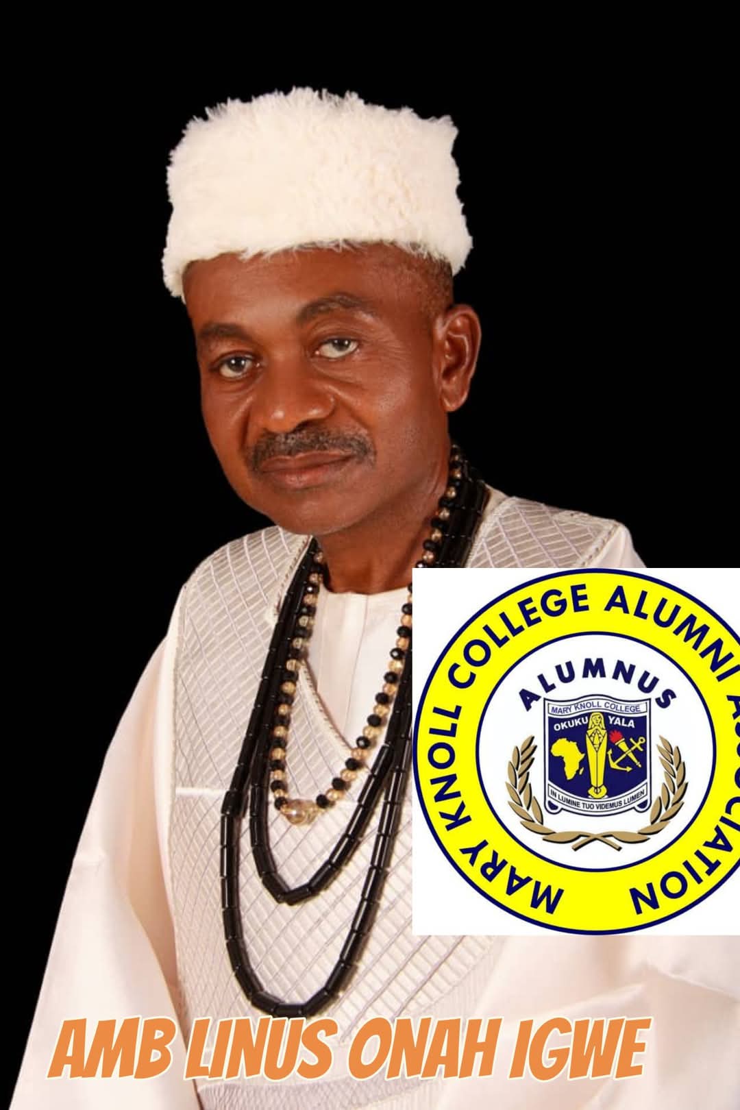 Ambassador Linus Onah Igwe: Celebrating 60 Years of Grace, Resilience, Purpose and Impact