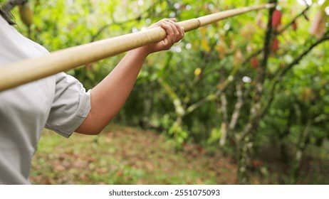 Advent: Pruning Hooks BY PETER OBELE ABUE